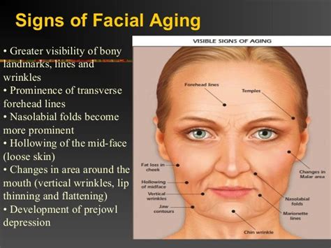 Aging Face Ppt