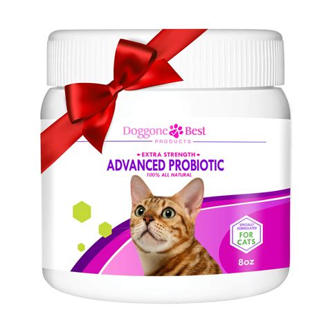 Fiber is a bit of a messy subject and can be hard to understand. Advanced Probiotics for Cats | Probiotics for cats, Cat ...