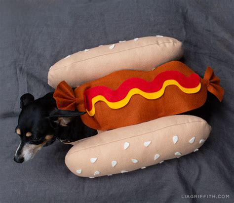Cute Diy Hot Dog Costume For Halloween Lia Griffith