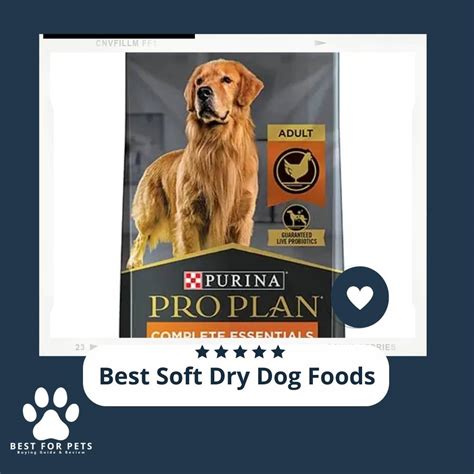 The 11 Best Soft Dry Dog Foods Of 2023