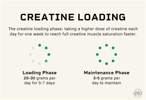 Creatine Loading How To Do It And Is It Necessary Levels