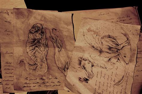 Bodies Of Strange Creatures Were Found In The Basement Of An Old House