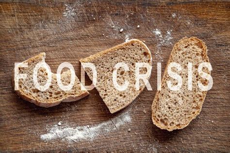 Premium Photo Food Crisis Failed Grain Crops Bread Shortage Military