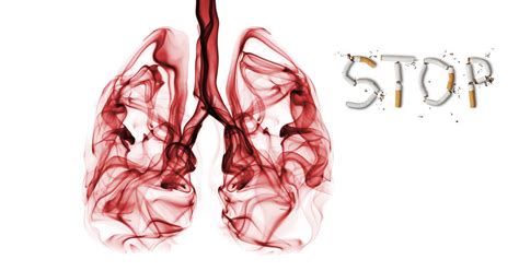 Graphic Video Shows What Smoking Does To Your Lungs
