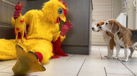 Dogs Vs Giant Chicken Prank Beagles Louie And Marie Youtube