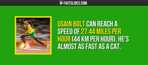 Download Usain Bolt Top Speed Km H  My Gallery Pics