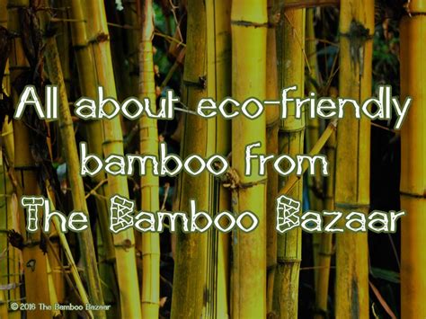 All About Eco Friendly Bamboo From The Bamboo Bazaar