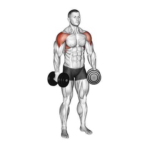 9 Best Dumbbell Push Exercises With Pictures Inspire Us