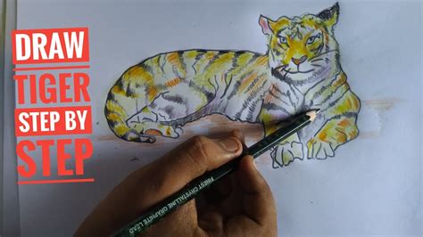Pencil Sketch Series How To Draw A Tiger Lesson Step By Step Guide