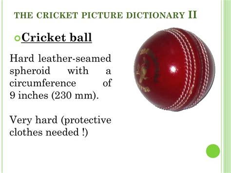 Ppt Cricket Powerpoint Presentation Free Download Id5061947