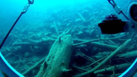 Theres An Ancient Underwater Forest In This Northern California Lake