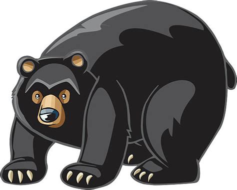 Black Bear Clip Art 20 Free Cliparts Download Images On Clipground 2024