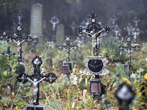 Gedenkfeier Für Verstorbene Am Friedhof Der Namenlosen In Wien Vienna