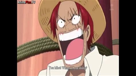 How Did Luffy Get His Chest Scar Devyn Parker