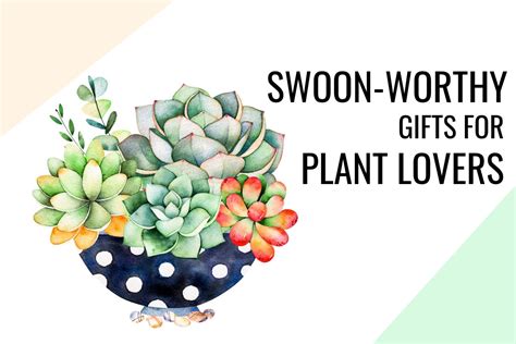 Plant lovers aren't typically afraid to get their hands dirty, so instead of gifting them a bonsai tree, why not give them the elements to plant their own? The Most Swoon-Worthy Gifts For Plant Lovers For Christmas ...