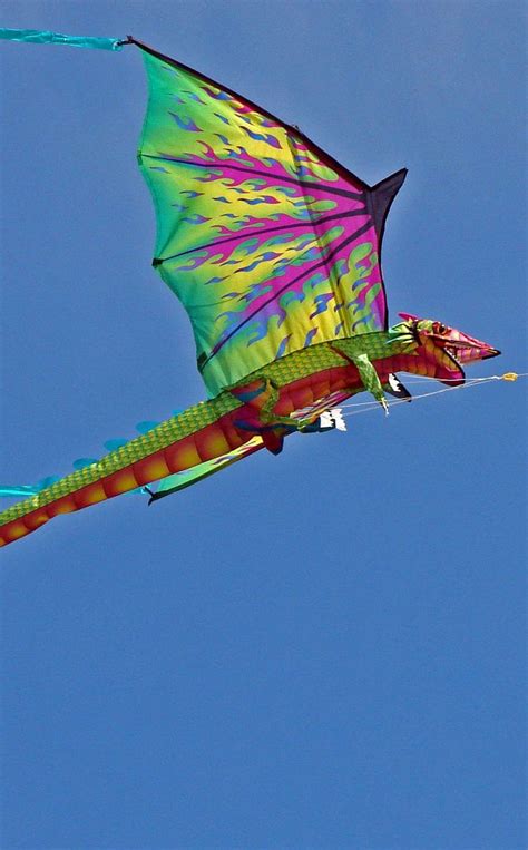 41 Best Dragon Kites Images On Pinterest Dragon Kite Kite And Kites