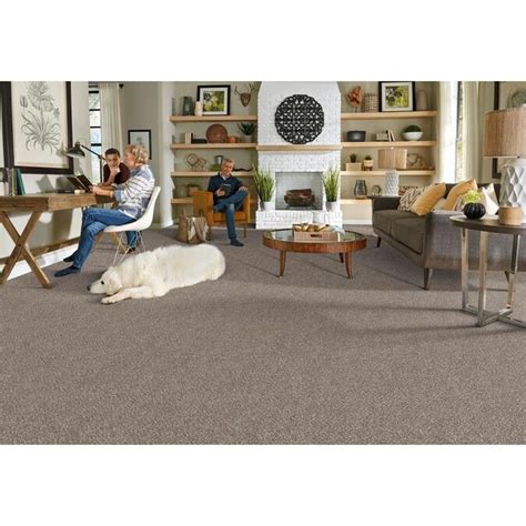 Stainmaster Petprotect Allure Enchant Textured Carpet Sample Interior