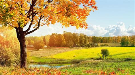 Fall Landscape Wallpapers Wallpaper Cave