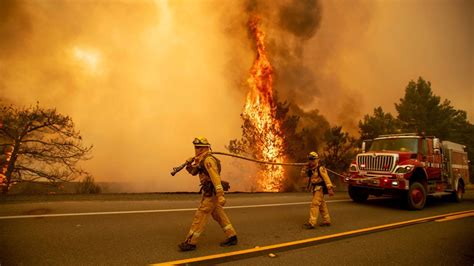 At least 50 wildfires burn. Forest fires will become more widespread and destructive ...