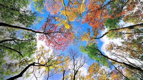 Пин от пользователя Nadia Omelchenko на доске Природа | Пейзажи, Фотографии, Осенние картинки