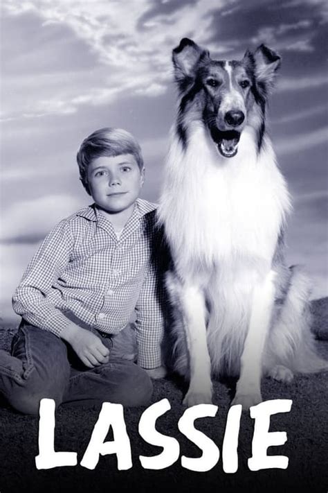 The Best Way To Watch Lassie Live Without Cable