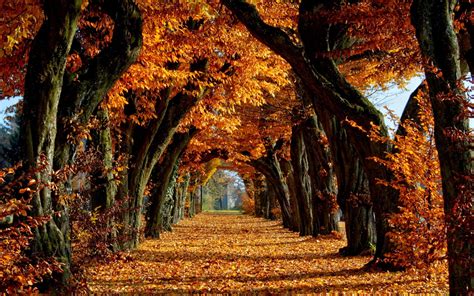 Screensavers And Wallpaper Autumn Scene 53 Images