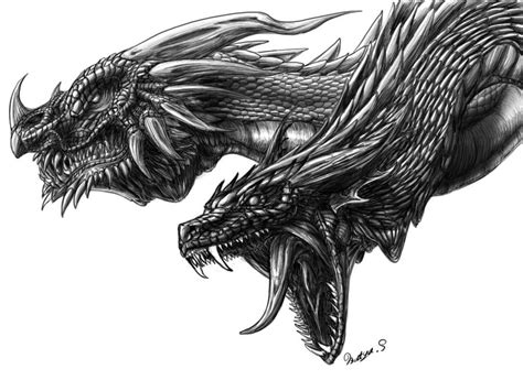 We send digital drawings for your convenience so that you don't have to overpay for shipping and pay additional tax for this service. 2 dragon drawings | Dragon Drawings