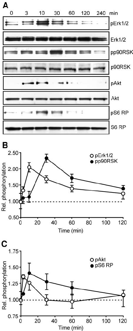 Fgf 21 Activates Erk12 And Akt Signaling Pathways A Ins 1e Cells