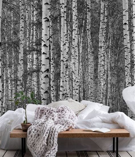 Birch Trees Black And White Xxl Wallpaper Happywall Grayscale