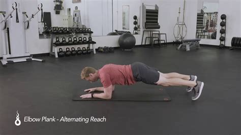 Elbow Plank Alternating Arm Reach Youtube