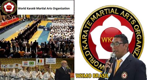 We did not find results for: PIROPO NEWS: Karatê está fora das olimpíadas de Paris 2024 ...