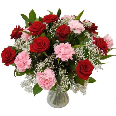 Red Rose And Pink Carnation In A Vase Online T And Flowers
