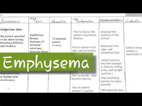 Emphysema Nursing Care Plan Youtube