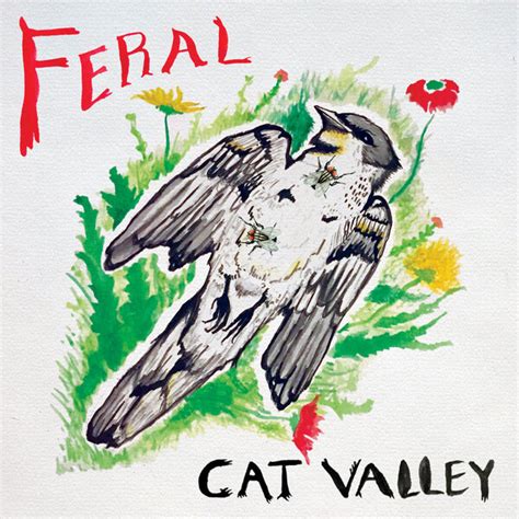 Cat Valley Albums Songs Discography Biography And Listening Guide