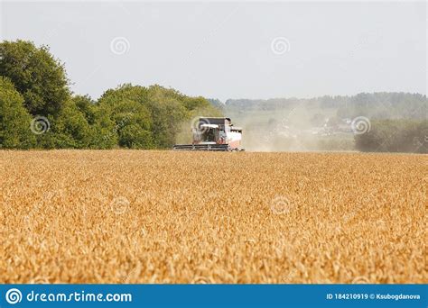 Combine Harvester Working In A Wide Wheat Field Stock Image Image Of