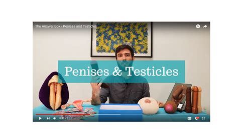 Penis Testicles Shore Centre