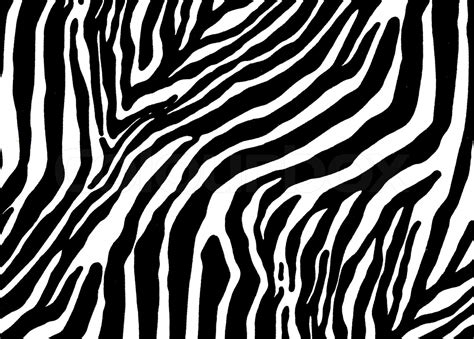 Zebra Texture Stock Image Colourbox