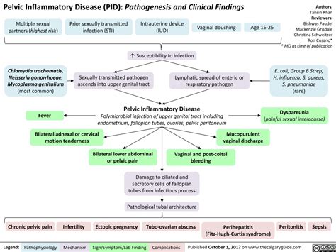 Pelvic Inflammatory Disease Calgary Guide