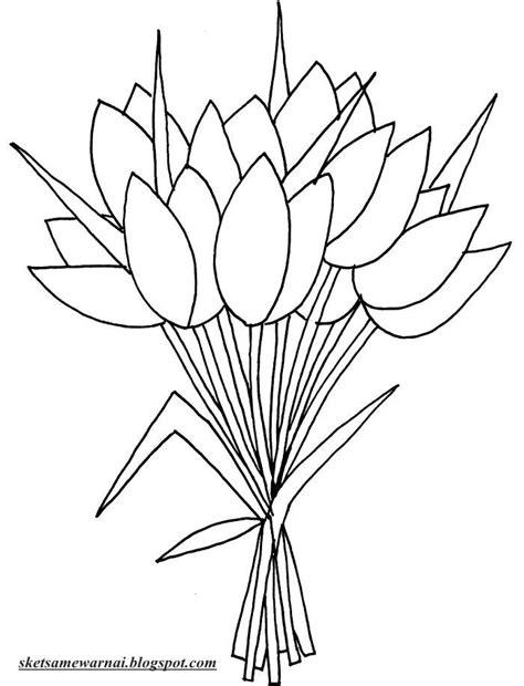 Bunga tulip pada umumnya mempunyai 6 mahkota dengan ukuran yang besar dan panjang. Sketsa Mewarnai Gambar Macam - Macam Bunga - Sketsa Mewarnai