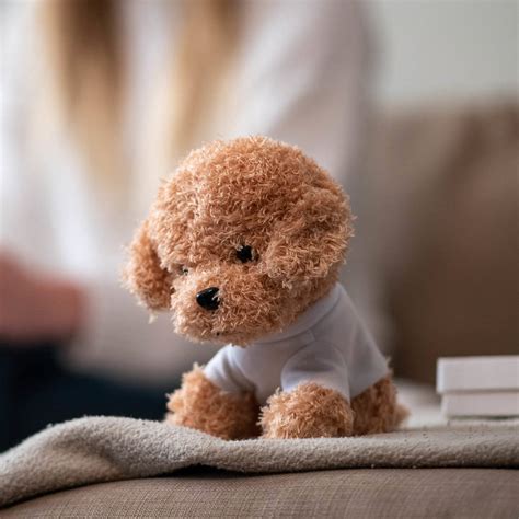 Personalised Poodle Soft Toy By Meenymineymo | notonthehighstreet.com