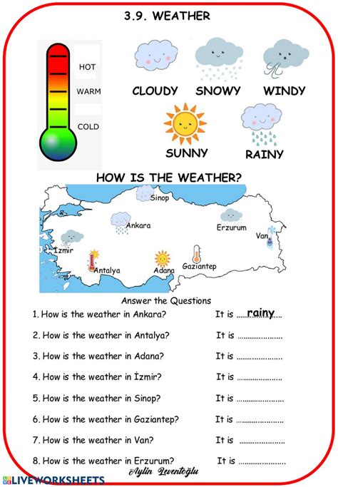 Discover The Wonders Of Weather With This Beginners Online Worksheet