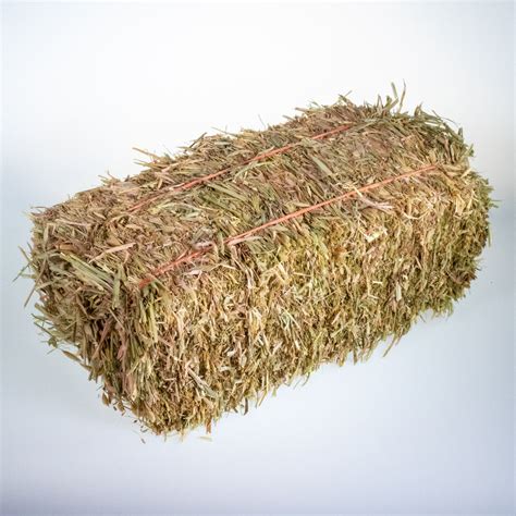 Mini Hay Bale Oat Young House Rabbit Store