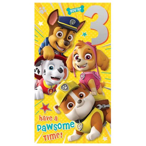Youre 3 Paw Patrol 3rd Birthday Card Pa008 1 Character Brands