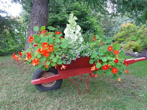 34 Best Wheelbarrow Planter Ideas Li Linguas