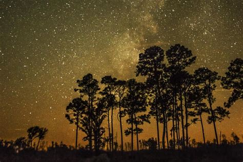 Happy travelers, dreaming of quiet night skies filled with stars and. Ways to Enjoy the Stars at Georgia's Dark Sky Park ...