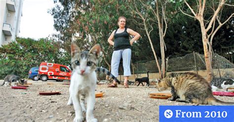 No More Pussyfooting Around As City Sues Cat Lover Haaretz Com
