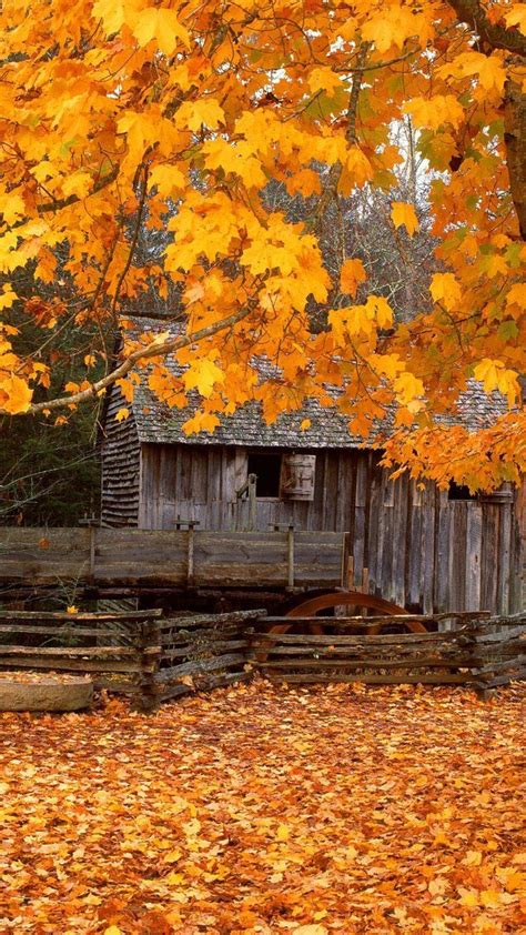 Fall Country Scenes Wallpaper 29 Images