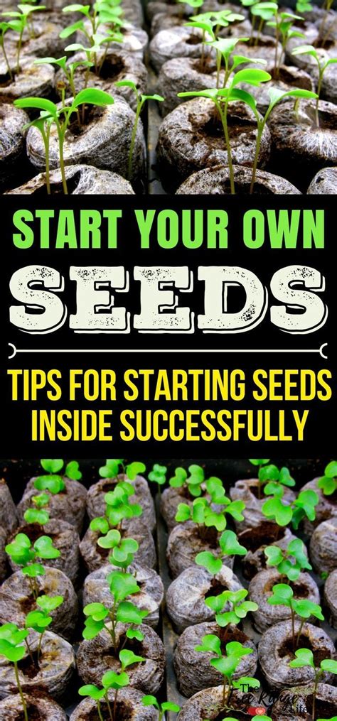 5 Tips For Starting Seeds Successfully Indoors Gardening