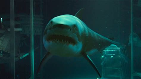 The definitive site for reviews, trailers, showtimes, and tickets. The best shark movies