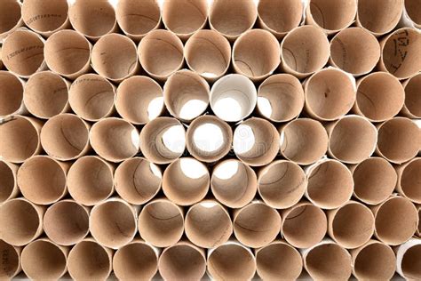 Toilet Paper Roll Stock Photo Image Of Domestic Design 100749190